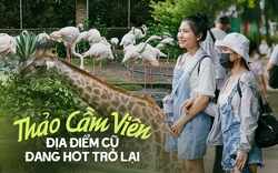 Thảo Cầm Viên - địa điểm “cũ” đang nổi trở lại: Có gì thú vị mà giới trẻ kéo nhau đến rần rần?