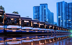 Transerco thực hiện gần 11.000 lượt xe buýt/ngày phục vụ nghỉ lễ Quốc khánh 2-9
