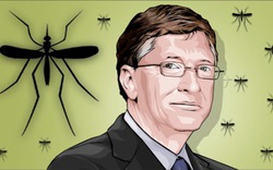 'Nhà máy' tạo ra 30 triệu con muỗi mỗi tuần, được Bill Gates khen ngợi


