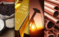 Thị trường ngày 23/8: Giá dầu, vàng, đồng giảm, quặng sắt phục hồi