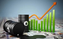 Giá dầu sẽ tăng cao hơn vào năm 2023?