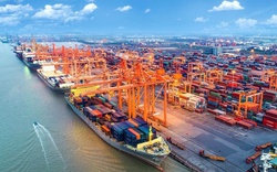 Địa phương sở hữu cảng biển lọt top 30 cảng container bận rộn nhất thế giới có tiềm năng gì?
