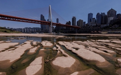 Hạn hán khiến con sông dài thứ 3 thế giới khô cạn: 