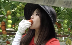 3 điều cấm kỵ khi ăn cà chua gây nhiều bệnh tật