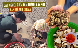 Trải nghiệm cào nghêu ở biển Tân Thành đang “gây sốt” 