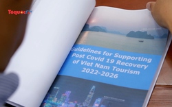 Phục hồi toàn diện du lịch Việt Nam giai đoạn 2022 - 2026