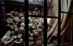 Khám phá đền thờ cá voi của Việt Nam