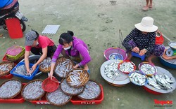 Ảnh: Hải sản tươi rói ở chợ bên bờ biển Đà Nẵng lúc bình minh