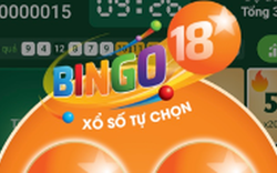 Sau gần 2 tuần ra mắt, hơn 7,7 tỷ đồng trúng thưởng ứng dụng xổ số quay nhanh Bingo18