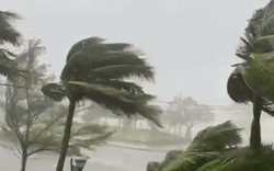 Bão số 4 mạnh lên thành siêu bão Cấp 4: Mức độ ảnh hưởng có thể cao hơn bão Xangsane
