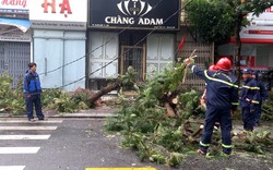 Siêu bão Noru đổ bộ: Hàng trăm ngôi nhà bị tốc mái, cây đổ la liệt, 4 người bị thương 