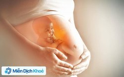 “Chìa khóa vàng” để tăng cường miễn dịch, giúp con phát triển trí não tốt nhất ngay từ trong bụng mẹ