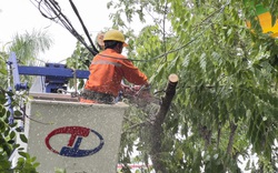 EVNCPC: Đến 7h00 ngày 28/9 đã khôi phục cấp điện 18,13% số khách hàng mất điện bị mất điện do bão Noru