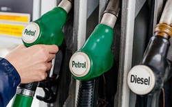 Tại sao dầu Diesel đắt hơn xăng?