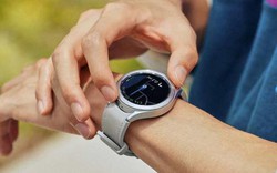 Cùng Galaxy Watch5 Pro bứt phá tại giải chạy Vietnam Mountain Marathon