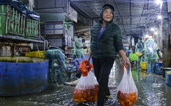 Chợ cá lớn nhất Hà Nội nhộn nhịp trước ngày đưa ông Công ông Táo về trời