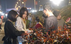 Người dân Hà Nội nô nức đi chợ hoa đêm trong những ngày giáp Tết