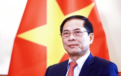 Đối ngoại thể hiện rõ bản sắc của ngoại giao cây tre Việt Nam