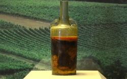 Tìm thấy chai rượu vang 1.700 năm trong mộ cổ, chuyên gia: Có thể vẫn uống được