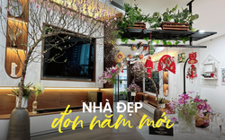 Năm mới ghé thăm căn hộ tự trang trí đón Tết ở Hà Nội và bí quyết tái sử dụng nguyên liệu cho nhiều dịp khác nhau