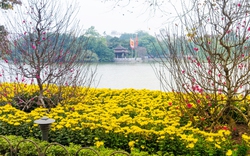 Thủ đô Hà Nội đón khoảng 332 nghìn lượt khách dịp Tết Nguyên đán Quý Mão 
