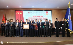 Tặng thưởng Huân chương Lao động hạng Ba cho Liên đoàn Bóng đá Việt Nam 