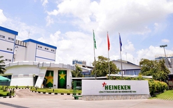 Heineken Việt Nam chính thức công bố sản xuất bằng 100% năng lượng tái tạo tại Việt Nam