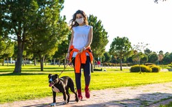 Để giảm 10% mỡ cơ thể, bạn cần đi bộ được như thế này