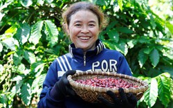  Nestlé Việt Nam góp phần nâng cao vai trò của phụ nữ trong toàn chuỗi cung ứng