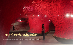 Ấn tượng triển lãm nghệ thuật “Thủy triều cảm xúc” tại Hà Nội, vừa “nhá hàng” mở cửa đã khiến giới trẻ xôn xao khám phá 
