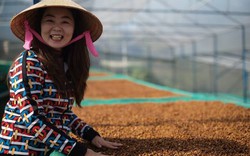 Báo chí quốc tế đánh giá cao nỗ lực xóa đói giảm nghèo của Việt Nam từ cây cà phê