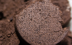 Phát hiện mới bã cà phê có thể làm tăng độ bền của bê tông