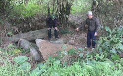 Cấp phép khai quật khảo cổ tại một số địa điểm thuộc tỉnh Cao Bằng