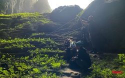 Hình ảnh ấn tượng ở Hang Sơn Đoòng xuất hiện tại phim Planet Earth III