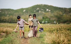 Chương trình Điện ảnh với Phú Yên thu hút các nhà làm phim đến Việt Nam