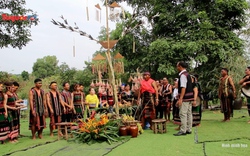 Huy động sự tham gia của đồng bào dân tộc trong Ngày hội trình diễn cây Nêu