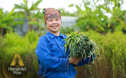 Từ sữa Ông Linh đến dự án tiên phong thúc đẩy hoạt động sản xuất nông nghiệp thân thiện với môi trường