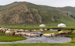 Công nghệ số trên thảo nguyên Mông Cổ: Những du mục 