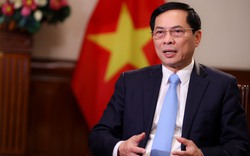 Bộ trưởng Bùi Thanh Sơn: Công tác đối ngoại và ngoại giao là một 
