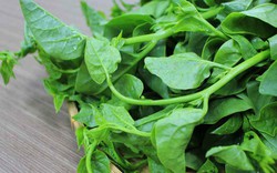 1 loại rau được coi là “rau vua”, có tác dụng ngăn ngừa ung thư, giảm cholesterol, được bán tràn lan ở chợ Việt 