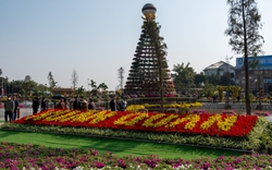 Lễ hội hoa Xuân Quan thu hút đông đảo du khách đến chiêm ngưỡng