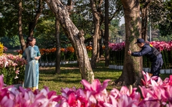 Ngắm nhìn 6 vạn cành hoa ly Hà Lan ở “Hà Nội miền hoa 2023”