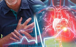 Nghiên cứu trên 200 triệu người, phát hiện “mối liên hệ” giữa nhịp tim và tuổi thọ: Trên 60 tuổi tim đập nhanh hay chậm là tốt hơn?