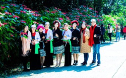 Hoa Trạng Nguyên nở rộ thu hút khách du lịch ở Xuân Sơn