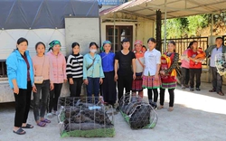 Dự án Plan tập huấn và hỗ trợ giống vật nuôi cho 200 hộ thanh niên tại Hà Giang