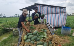 Nỗ lực giảm nghèo bền vững ở huyện Quảng Ninh 