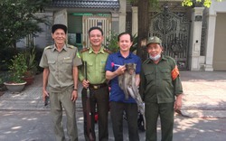 TP.HCM: Kiểm lâm mật phục bắt khỉ đuôi dài quậy phá khu dân cư