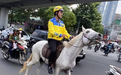 TP.HCM: Cưỡi ngựa nghênh ngang trên phố, nam thanh niên bị xử phạt 