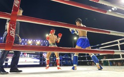 Các võ sĩ trong và ngoài nước so tài tại “Đêm chiến Muay Thai” 