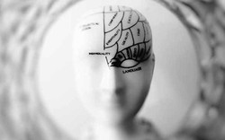 Có đúng là đến 25 tuổi não bộ con người mới phát triển toàn diện và đây là con số “thần thánh” quyết định độ trưởng thành?